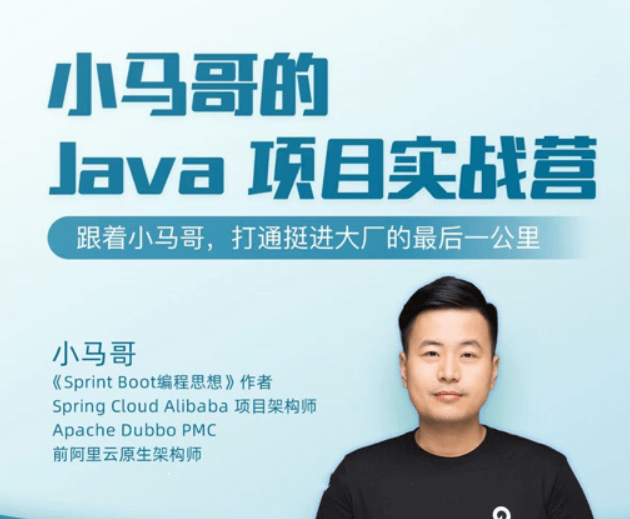 小马哥java项目实战营教程