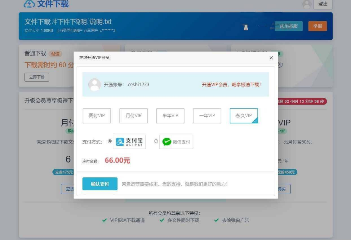 网盘赚钱系统源码_仿蓝奏_城通_百度_闪客等网盘页面